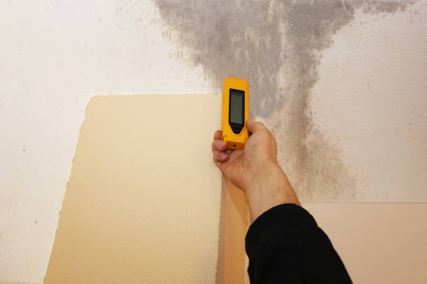 Best Mold Prevention Services  in Bargersville, IN