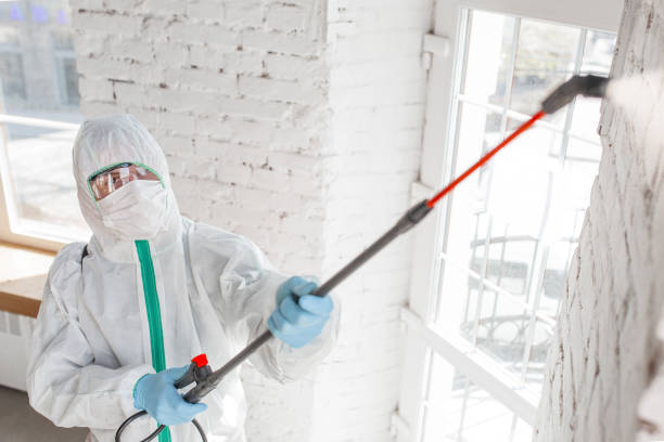 Best Commercial Mold Inspection  in Bargersville, IN
