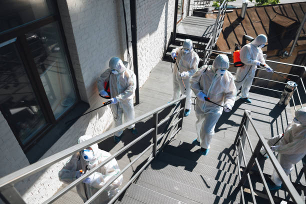  Bargersville, IN Mold Removal Pros