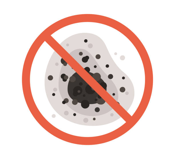 Best Black Mold Removal  in Bargersville, IN