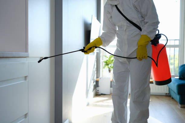 Best Comprehensive Air Testing for Mold Contaminants  in Bargersville, IN