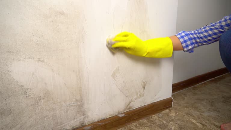 Best Mold-Related Health Consultation  in Bargersville, IN