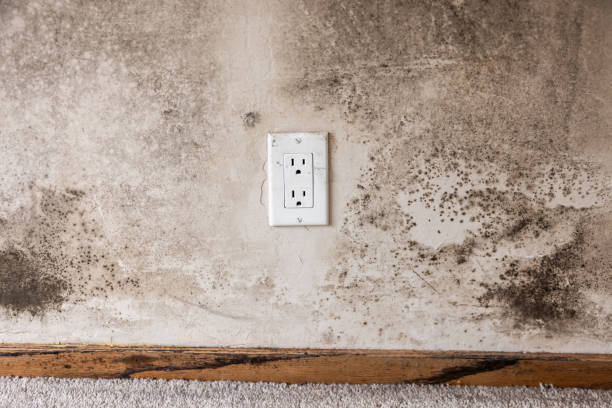 Best Residential Mold Inspection & Testing  in Bargersville, IN