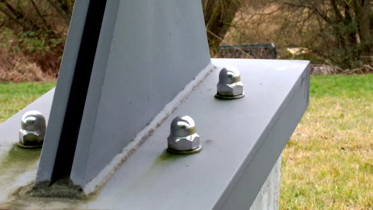Best Mold Damage Restoration  in Bargersville, IN